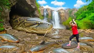 🔴 TIMELAPSE &ndash; Catching  Monster Primitive Python LIVE | Not for the Faint-Hearted!
