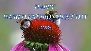 WORLD ENVIRONMENT DAY..../MOTIVATIONAL VIDEO/LIFE LESSONS/QUOTES ABOUT LIFE