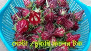 মেষ্টা/ চুকাই ফলের টক রেসিপি | Rosela Fruit Pickles | Hibiscus Sabdarifa Recipe 