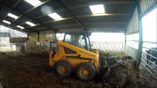 Mucking out with a Mustang 2044