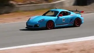 Quattro de Seca 2015 - Audi Club Golden Gate