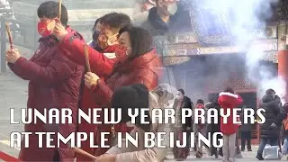 'Pray for prosperous and health' Chinese New Year prayers at iconic Beijing Lama temple