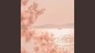 Forgiveness