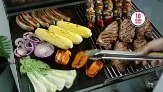 SPACEGRILL BBQ, Wall Mounted Fold Down BBQ