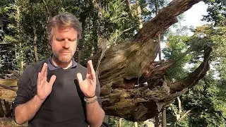 Reiki Healing from Japan - Kurama Mountain - Kyoto