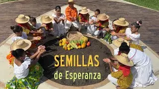 SEMILLLAS DE ESPERANZA