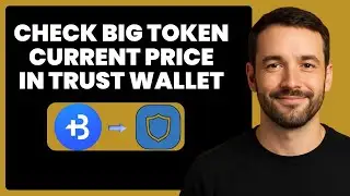 Live BIG Token Price on Trust Wallet | Real-Time Update