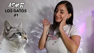 4K ASMR Обучающая 🐱 20 ЛЮБОПЫТИЙ О КОШКАХ 😻 ЗНАКОМСТВО С КОШКАМИ [Тихая речь]