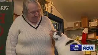 The Last Word: Stella the Cat Charms and Entertains Customers at Feed Store