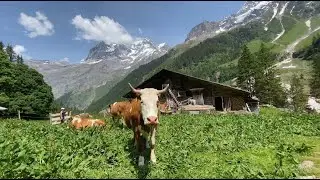 Switzerland - Alpaufzug (Stechelberg - Schiirboden)