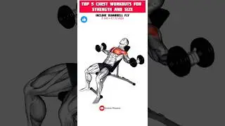 Top 5 Chest Workouts for Strength and Size #gymworkout #chestworkout
