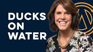 Alchemy Behind The Scenes with Sandy Sullivan - The Leadership Truth: We're All Ducks on Water