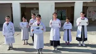 ابداع جديد مع الحيوانات المركبه لست ( رضاب فالح) 🦋
