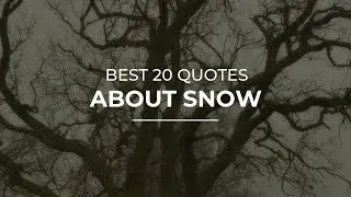 Best 20 Quotes about Snow | Quotes for You | Amazing Quotes