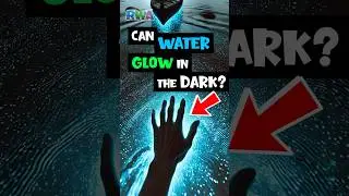Kids Discover GLOWING Water! 🌟 Puerto Rico Bio Bay Adventure!