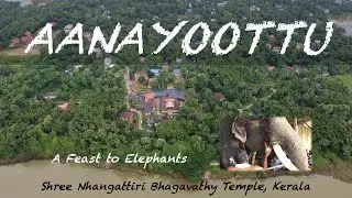 Aanayoottu - A Feast for Elephants | Incredible Festivals of India - Episode01