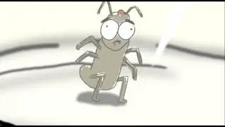 Flea in a Glass Jar Experiment