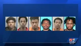 New Orleans police arrest nine, searching for six others after violent fight during parade