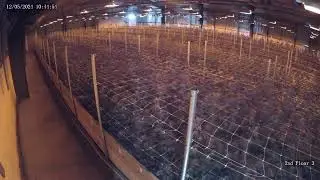 M7.0 earthquake rocks cannabis plant in Humboldt, CA