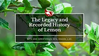 The Legacy and Recorded History of Lemon