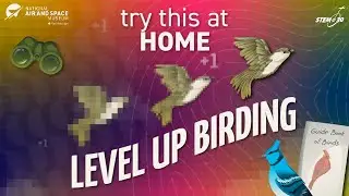 Level Up Birding: Try This at Home