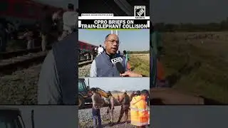 6 Elephants killed after collision with DN Sairang&ndash;New Delhi Rajdhani Express in Assam, CPRO briefs