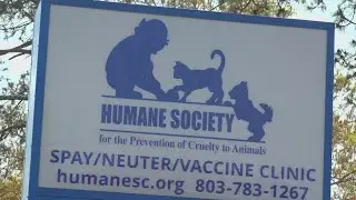 PET PALS: Identifying animal abuse