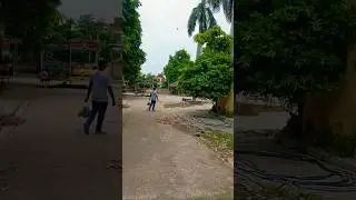 #trampling# jumping #attitude #natural #sports #shorts #viral #popular #video #entertainment #