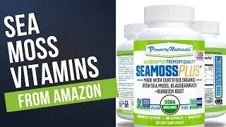 Sea Moss Vitamins | You Can Get From Amazon - Links to items in Description #tiktokmademebuyit