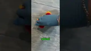 Не маскируйте плесень, уничтожайте её.