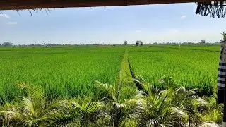 MEMULAI DARI NOL ITU SULIT... #JALANSAJADULU