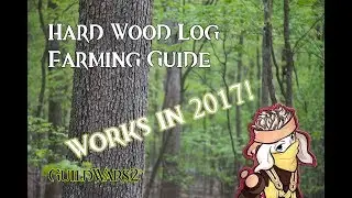 Guild Wars 2: Hard Wood Log Farming Guide | SEPTEMBER 2017 | TIMESTAMPS | NEW LOCATION
