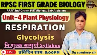 RPSC 1st Grade Biology 2025 | UNIT -IV | Plant Physiology | Respiration in Plants | Glycolysis