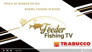 Pesca de Barbos em Rio | Barbel fishing in river