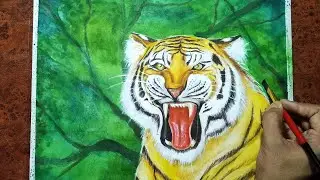 Royal Bengal Tiger || Royal Bengal Tiger With Water Colour || Soudip Art