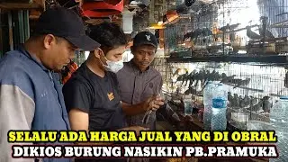 SELALU ADA HARGA YANG DIOBRAL DIKIOS BURUNG NASIKIN PASAR BURUNG PRAMUKA TERBARU HARI INI