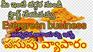 Turmeric powder business in Telugu/ పసుపు వ్యాపారం/ పసుపు పొడి బిజినెస్/small business ideas in Telu