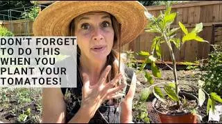 How To Plant Tomatoes to get the MOST from a Short Growing Season