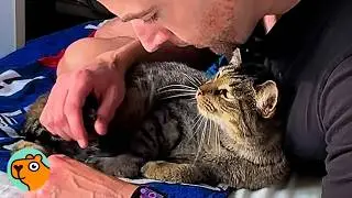 Shyest Cat Took 89 Days To Finally Trust Her Dad | Cuddle Buddies