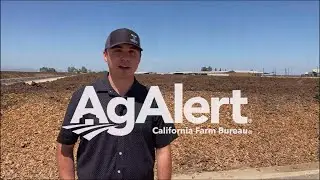 California&rsquo;s first dairy vermifiltration system at Alberto Dairy