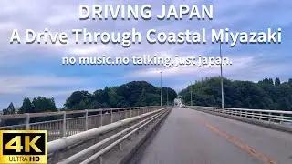 A Quiet Drive Through Coastal Miyazaki: A Tour of Local Roadside Stations | 宮崎・日向と都農、道の駅めぐり [4K]
