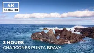 4K Calm Ocean Waves Crashing on Rocky Cliffs | Peaceful Coastal Scenery | No Music | 3 Hours