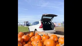 TMS Volvo Halloween Giveway 2022