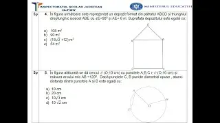 Simulare matematică EN ISJ Ilfov - decembrie 2024 - Subiectele I şi II