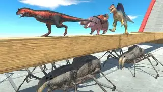 Watch Your Step &ndash; One Slip and You're Spider Food - ARBS Channel