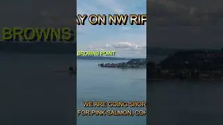 Pink Salmon Fishing locations, #short clip, Puget Sound Browns Point, #fishing #wheretofish
