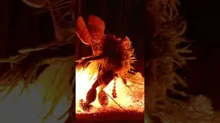 Baining Firedancers #papuanewguinea #baining #melanesia #firedance #fire #culture #papua #wild #epic