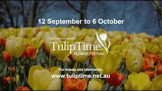 Discover Tulip Time 2025 in the Southern Highlands