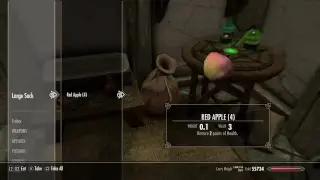 Skyrim inventory
