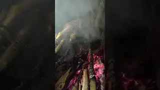 ayam guling bali tengah mantap👍